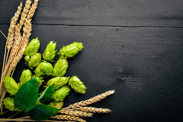 Wheat and hops on a wooden background. Top view. Free space for text.