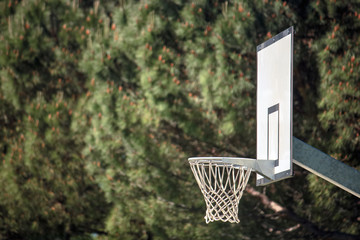 outdoor basketball with copy space, profile of the object with green nature background