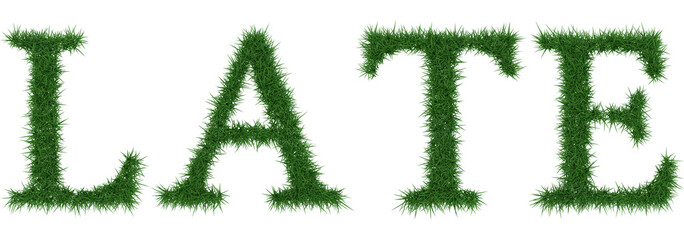 Late - 3D rendering fresh Grass letters isolated on whhite background.