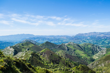 Naklejka premium Paisaje verde