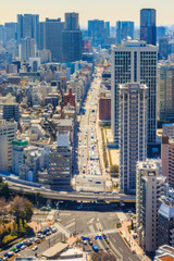 Fototapeta premium Cityscape of Tokyo city, japan. Aerial skyscraper view of office building and downtown of tokyo city background. Tokyo is metropolis and center of new world's modern business, Shinjuku, Tokyo, japan