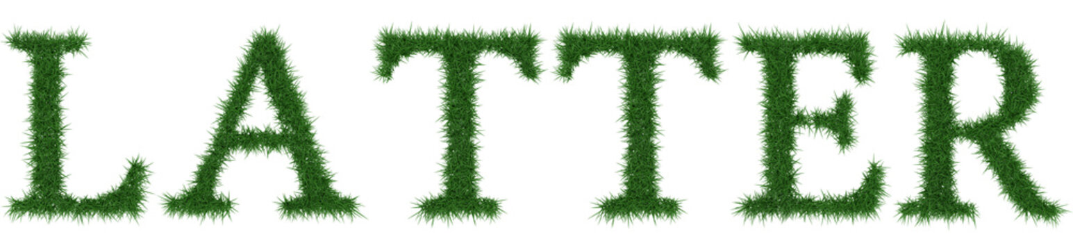 Latter - 3D rendering fresh Grass letters isolated on whhite background.