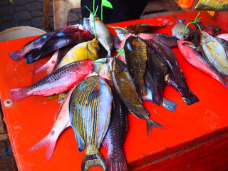 march&eacute; seychelles
