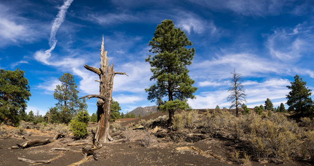 Sunset Crater Volcano National Monument lava flow