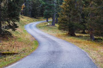 Forest mountain road in the Dolomites near the Cinque Torri Mountains, Trentino Alto Adige region