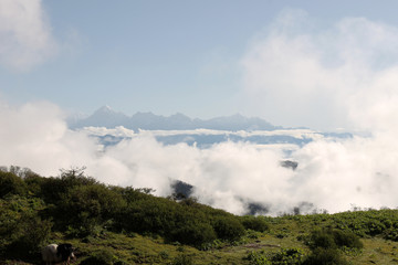 Fototapeta na wymiar Beautiful landscape of Himalayan ranges covered with white clouds, Sandakphu, West Bengal India