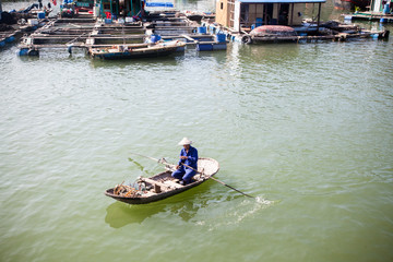 Obraz premium HAIPHONG, VIETNAM - AUGUST 2017: Floating village in Cat Ba islands. Cat Ba is the largest of the 366 islands, which make up the southeastern edge of Ha Long Bay in Northern Vietnam.