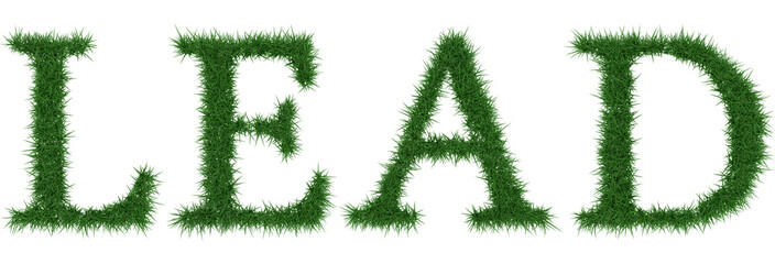 Lead - 3D rendering fresh Grass letters isolated on whhite background.