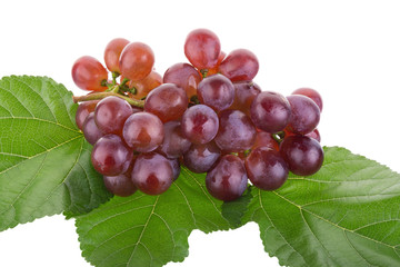 Red grapes isolated on over white background