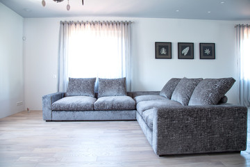 Living room interior with gray sofa