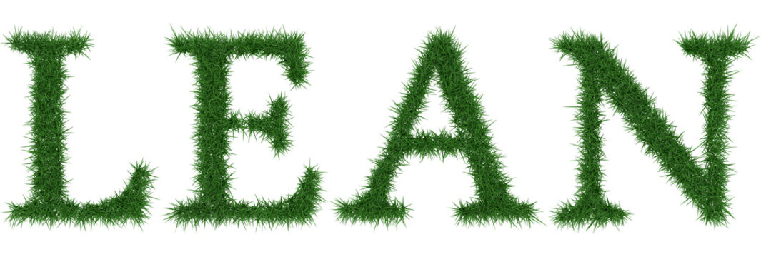 Lean - 3D rendering fresh Grass letters isolated on whhite background.