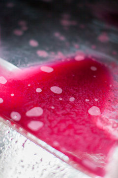 vendange vinification vin