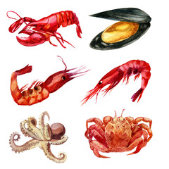 Watercolor illustration. Set of seafood. Shrimp, mussel, cancer, lobster, squid
