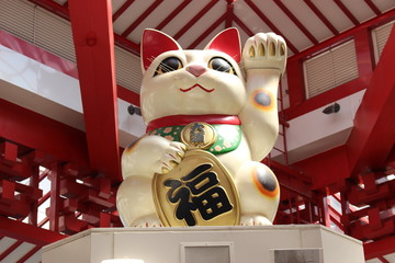 lucky cat in JAPAN