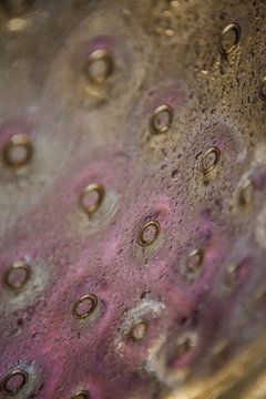 vendange vinification vin