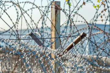 Coiled barbed wire fencing at forbidden area, war zone.
