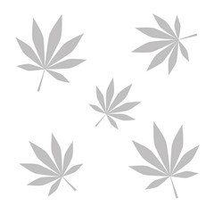 Fototapeta na wymiar cannabisblätter grau