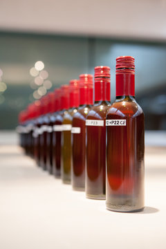 vendange vinification vin