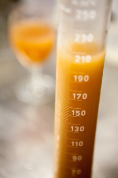 vendange vinification vin