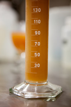 vendange vinification vin