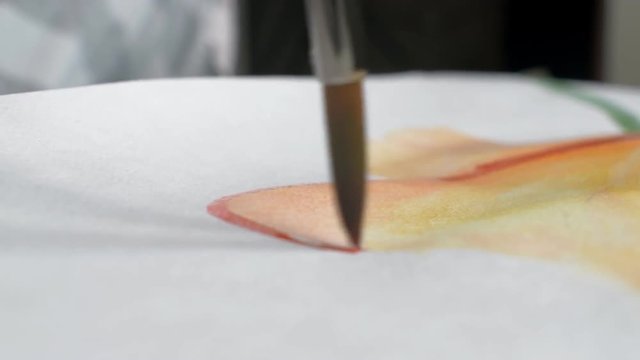 Artist painting watercolor paints on wet paper