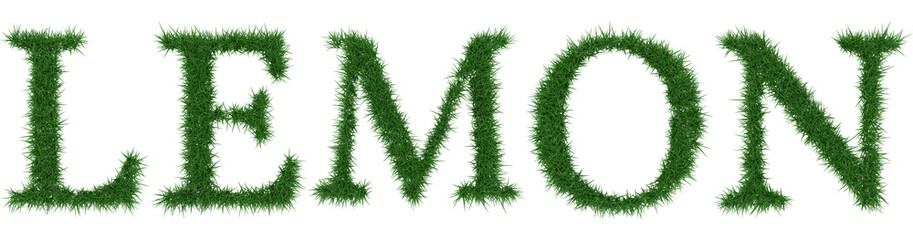 Lemon - 3D rendering fresh Grass letters isolated on whhite background.