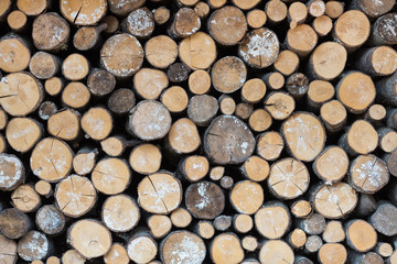 Closeup of cut firewood, natural wood background
