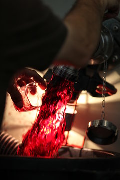 vendange vinification vin