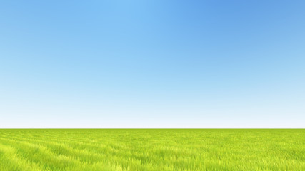 landscape green grass and clear sky 3D render