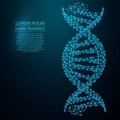 Polygonal DNA abstract image. Low poly wireframe