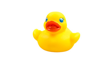 Yellow toy ducks with orange beaks seen from above while swimming, white background.  