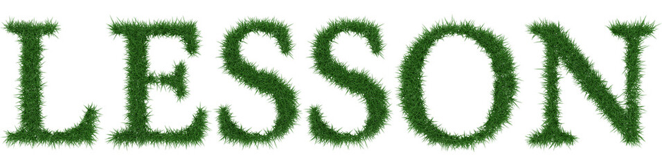 Lesson - 3D rendering fresh Grass letters isolated on whhite background.