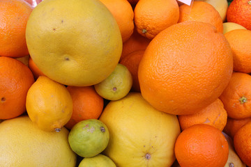 Verschiedene Zitrusfrüchte