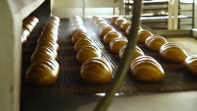 Conveyor with bread. Hot smoky bread comes out of the oven.