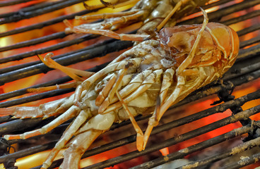 Grill lobster