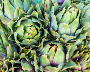 diet fresh artichokes
