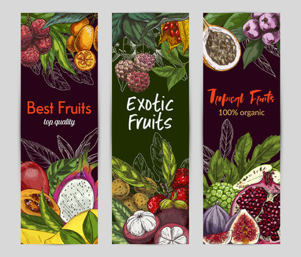 Three vertical banners with exotic fruits