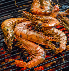 shrimp prawns grilled