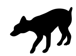 isolated black silhouette of a dog