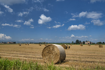 Rural Landscape near Parma (Italy)