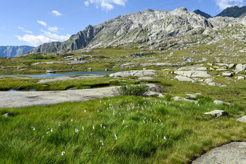 Mountain landscape of Gotthard pass