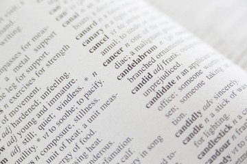 Fototapeta premium Full frame shot of dictionary