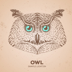 Hipster bird owl. Hand drawing Muzzle of bird owl