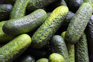 fresh pickling cucumbers closeup food background