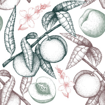 Vector seamless pattern with vintage  peach illustration