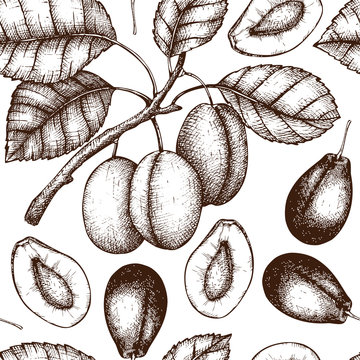 Vector seamless pattern with vintage plum tree illustration