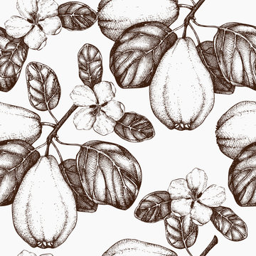Seamless pattern with vector quince tree illustration