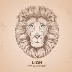 Retro Hipster animal lion. Hand drawing Muzzle of lion