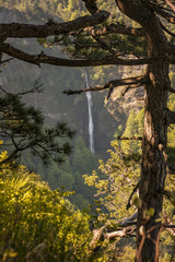 View on th Skakavac, waterfall in the Perucica forest