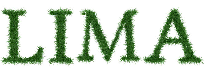 Lima - 3D rendering fresh Grass letters isolated on whhite background.